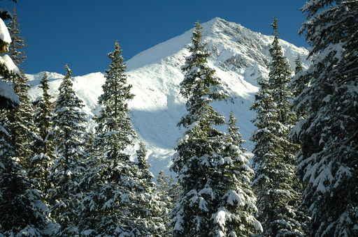 Winter Tatra Mountains Wall Decal