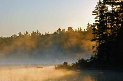 Fog above Lake Wall Decal