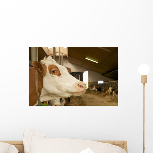 Cowshed Wall Decal