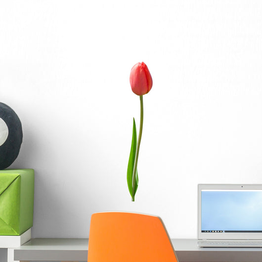 Beautiful Red Tulip White Wall Decal