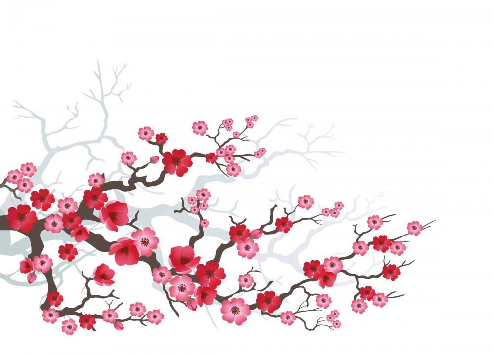 Branch Sakura-03 Wall Decal - WallMonkeys.com – Wallmonkeys