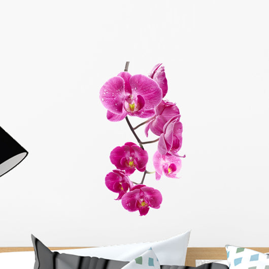 Orchid Flowers White Wall Decal
