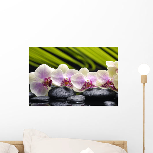 Set Branch Orchid Wall Decal