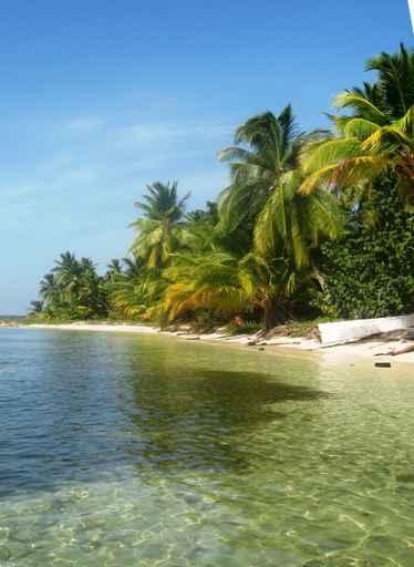 Playa Salvaje Dominicana Wall Decal