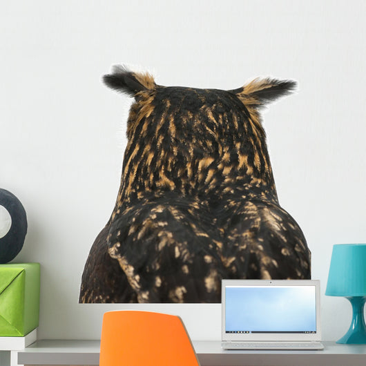 Eurasian Eagle-owl Back of Head Wall Decal