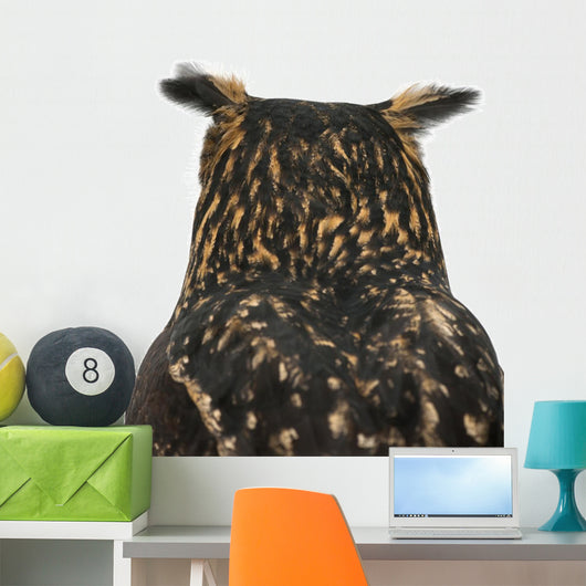 Eurasian Eagle-owl Back of Head Wall Decal