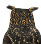 Eurasian Eagle-owl Back of Head Wall Decal