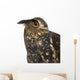 Eurasian Eagle-owl Right Side of Head Close-up Wall Decal