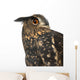 Eurasian Eagle-owl Right Side of Head Close-up Wall Decal