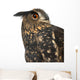 Eurasian Eagle-owl Right Side of Head Close-up Wall Decal