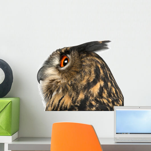 Eurasian Eagle-owl Left Side of Head Close-up Wall Decal