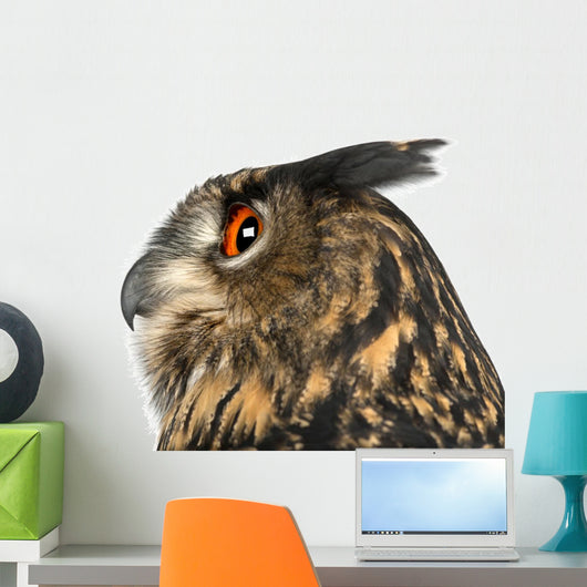 Eurasian Eagle-owl Left Side of Head Close-up Wall Decal
