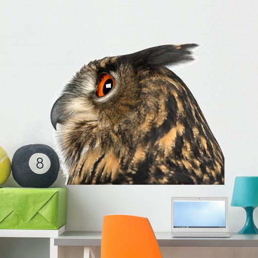 Eurasian Eagle-owl Left Side of Head Close-up Wall Decal