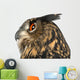 Eurasian Eagle-owl Left Side of Head Close-up Wall Decal