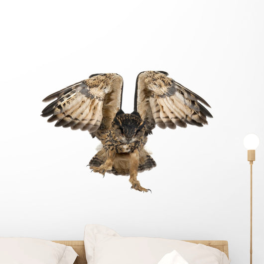 Landing Eurasian Eagle-owl Wall Decal