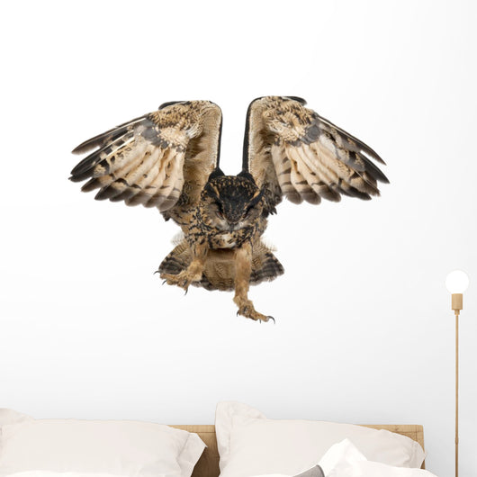 Landing Eurasian Eagle-owl Wall Decal