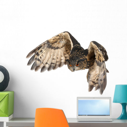 Flying Eurasian Eagle-owl Wall Decal