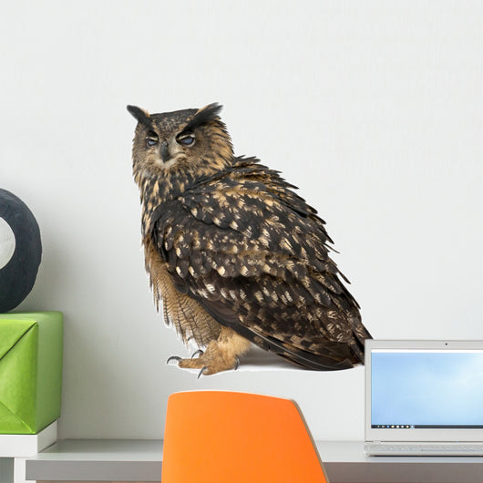 Eurasian Eagle-owl Eyes Closed Wall Decal