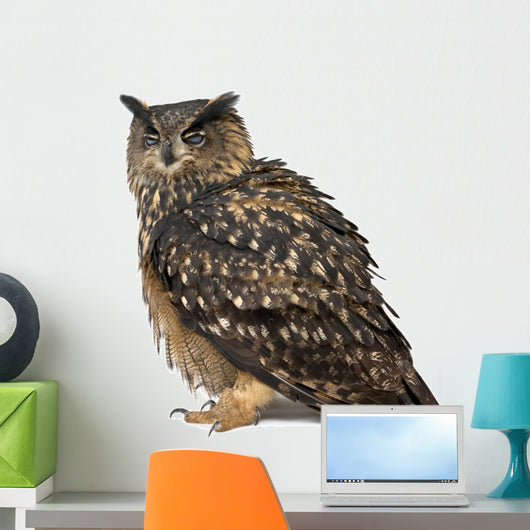 Eurasian Eagle-owl Eyes Closed Wall Decal