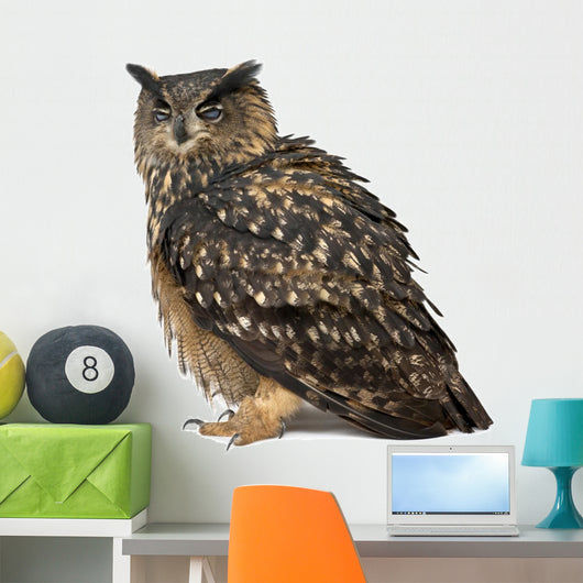 Eurasian Eagle-owl Eyes Closed Wall Decal