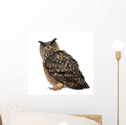 Eurasian Eagle-owl Left Side Wall Decal