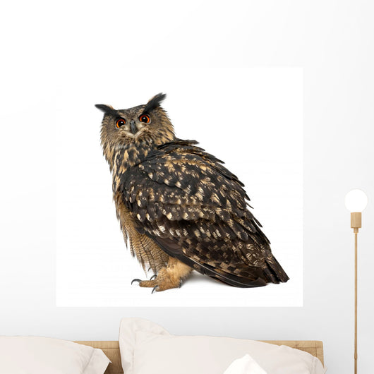 Eurasian Eagle-owl Left Side Wall Decal