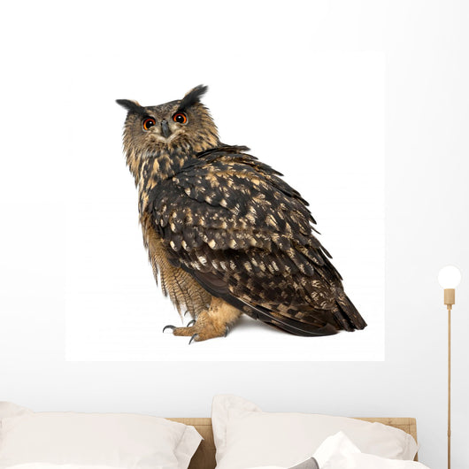 Eurasian Eagle-owl Left Side Wall Decal