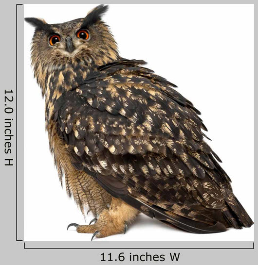 Eurasian Eagle-owl Left Side Wall Decal