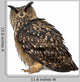 Eurasian Eagle-owl Left Side Wall Decal