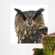 Eurasian Eagle-owl Face Close-up Wall Decal
