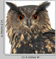 Eurasian Eagle-owl Face Close-up Wall Decal