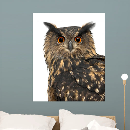 Eurasian Eagle-owl Turning Head Left Wall Decal