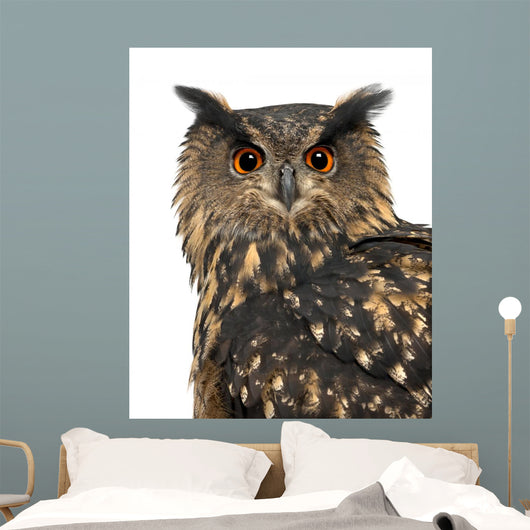 Eurasian Eagle-owl Turning Head Left Wall Decal