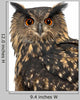 Eurasian Eagle-owl Turning Head Left Wall Decal