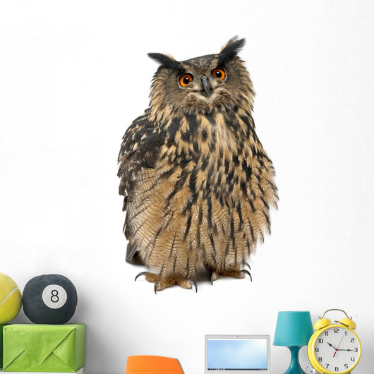 Eurasian Eagle-Owl, Bubo bubo, 15 years old Wall Decal