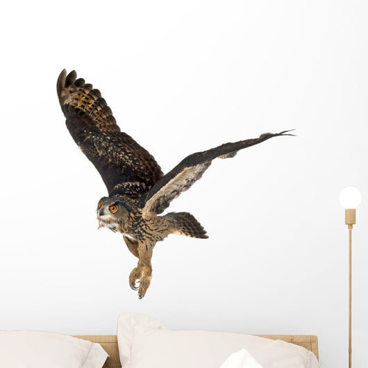 Eurasian Eagle-owl Taking Off Wall Decal