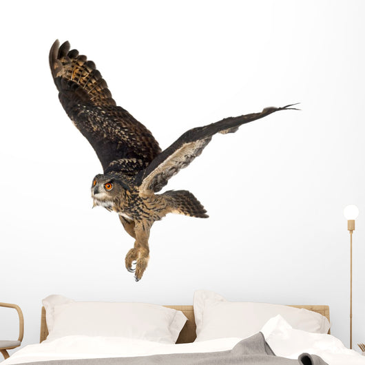 Eurasian Eagle-owl Taking Off Wall Decal