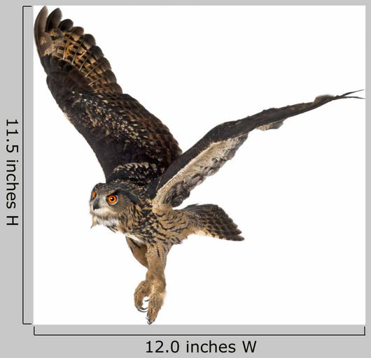 Eurasian Eagle-owl Taking Off Wall Decal