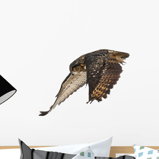 Eurasian Eagle-owl Wings Down Wall Decal