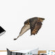 Eurasian Eagle-owl Wings Down Wall Decal