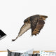 Eurasian Eagle-owl Wings Down Wall Decal