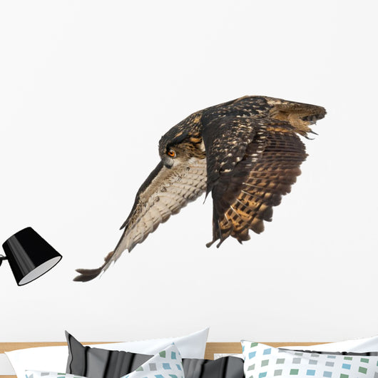 Eurasian Eagle-owl Wings Down Wall Decal