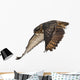 Eurasian Eagle-owl Wings Down Wall Decal