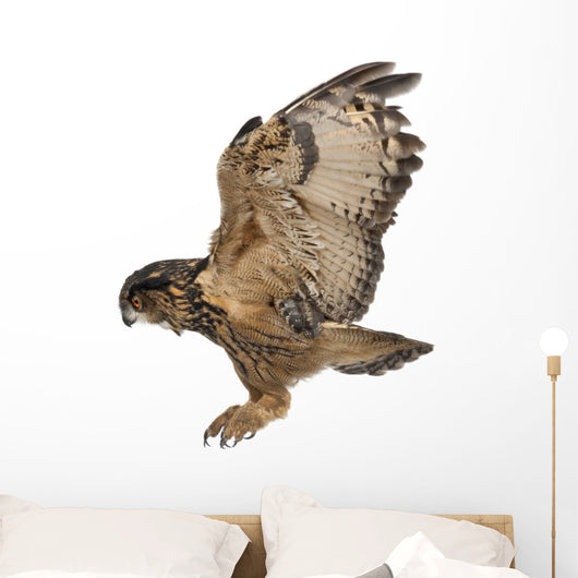 Flying Eurasian Eagle-owl Left Side Wall Decal