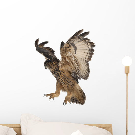 Eurasian Eagle-owl Flying Down Wall Decal