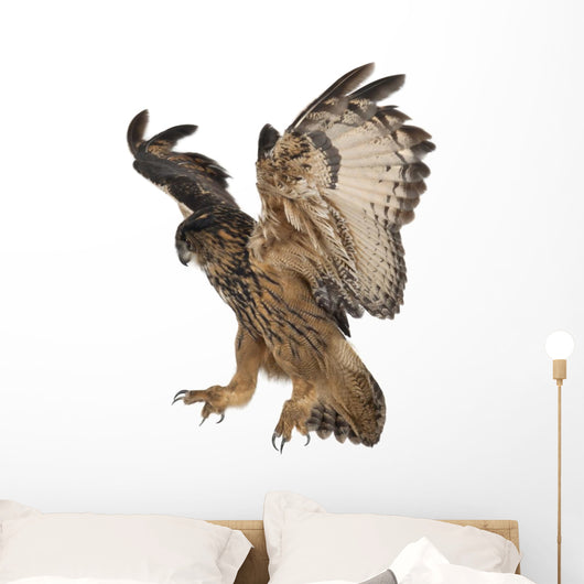 Eurasian Eagle-owl Flying Down Wall Decal
