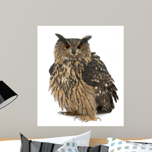 Fluffed Eurasian Eagle-owl Wall Decal