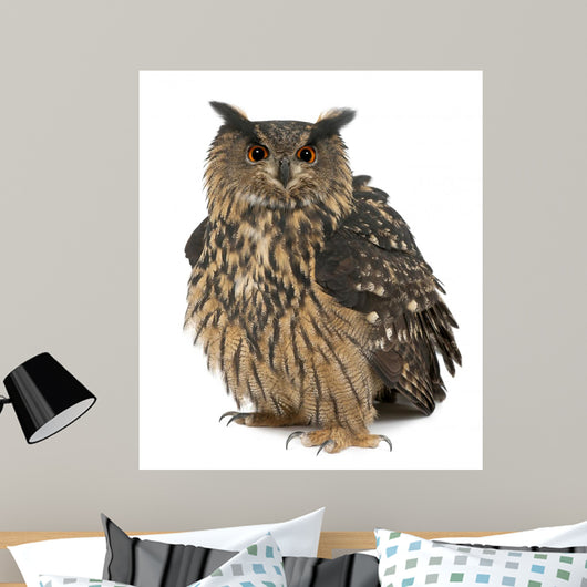 Fluffed Eurasian Eagle-owl Wall Decal