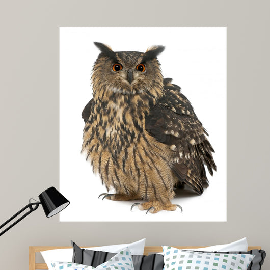 Fluffed Eurasian Eagle-owl Wall Decal