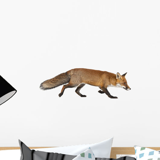 Red Fox Right Side Wall Decal